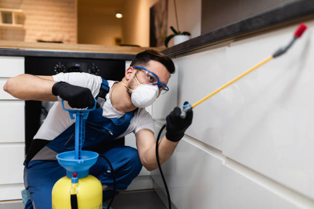 Best Local Pest Control Services  in Succasunna, NJ