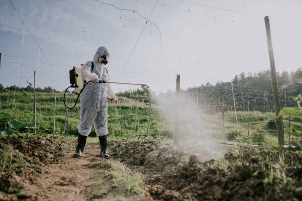 Best Commercial Pest Control Services  in Succasunna, NJ