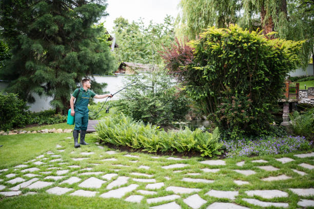 Best Best Pest Control Companies  in Succasunna, NJ