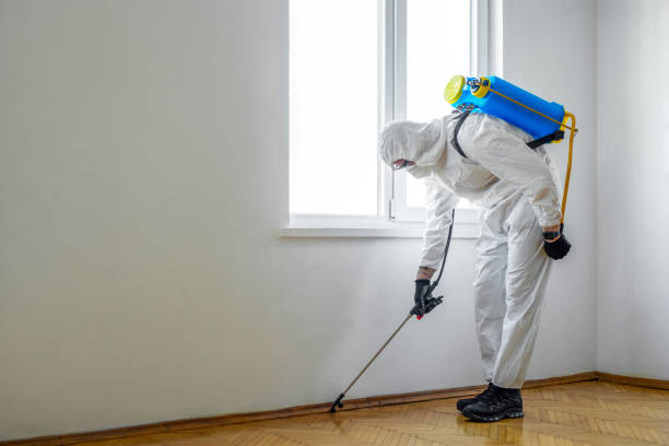 Best Termite Control Services  in Succasunna, NJ