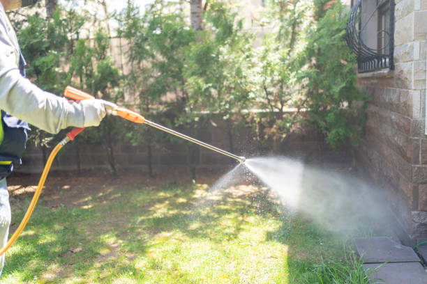 Wasp Removal Services in Succasunna, NJ