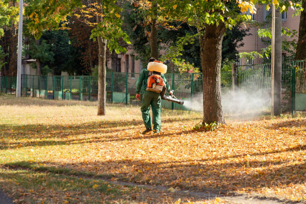 Best Residential Pest Control  in Succasunna, NJ